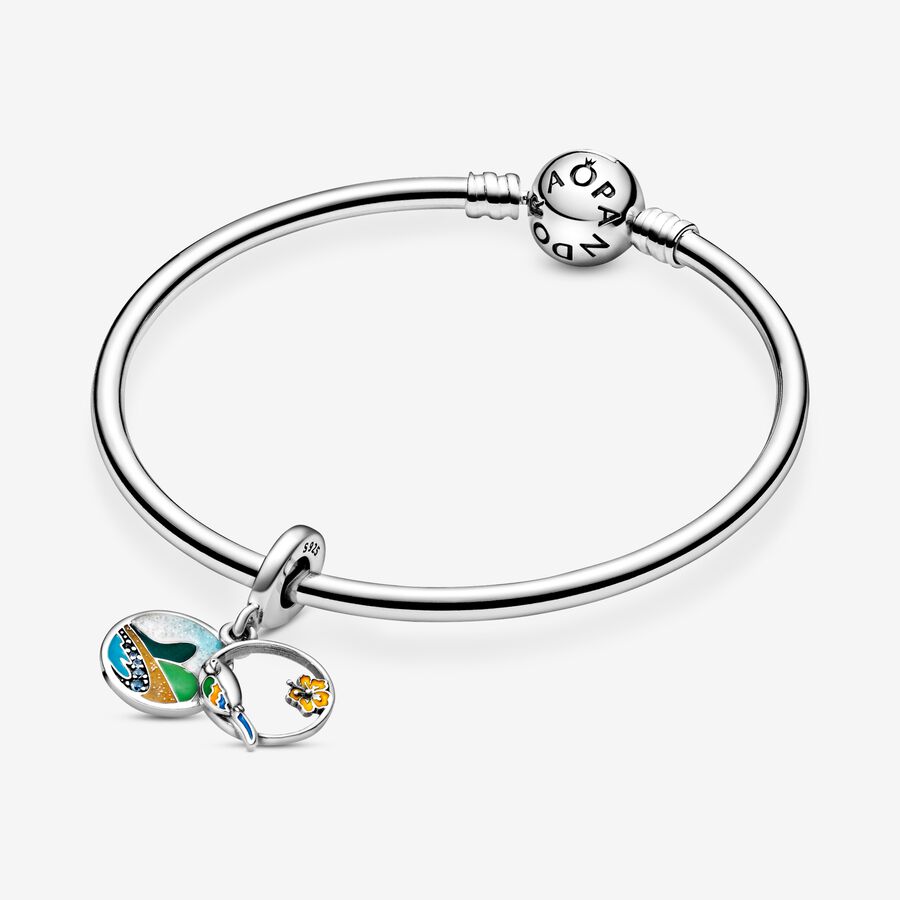 Pandora Brazil Beach & Parrot Dingla Silver | 826QRPAVL