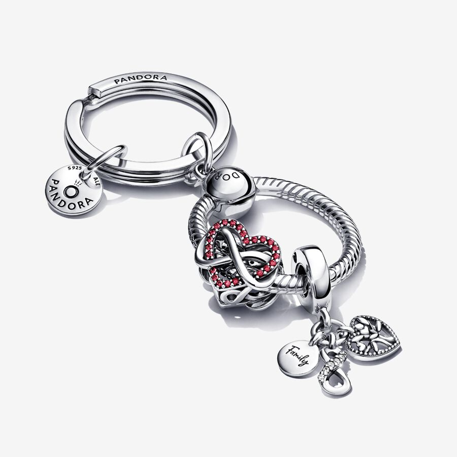 Pandora Family Infinity Keychain Berlocker Olika Färger | 647ENJDPM