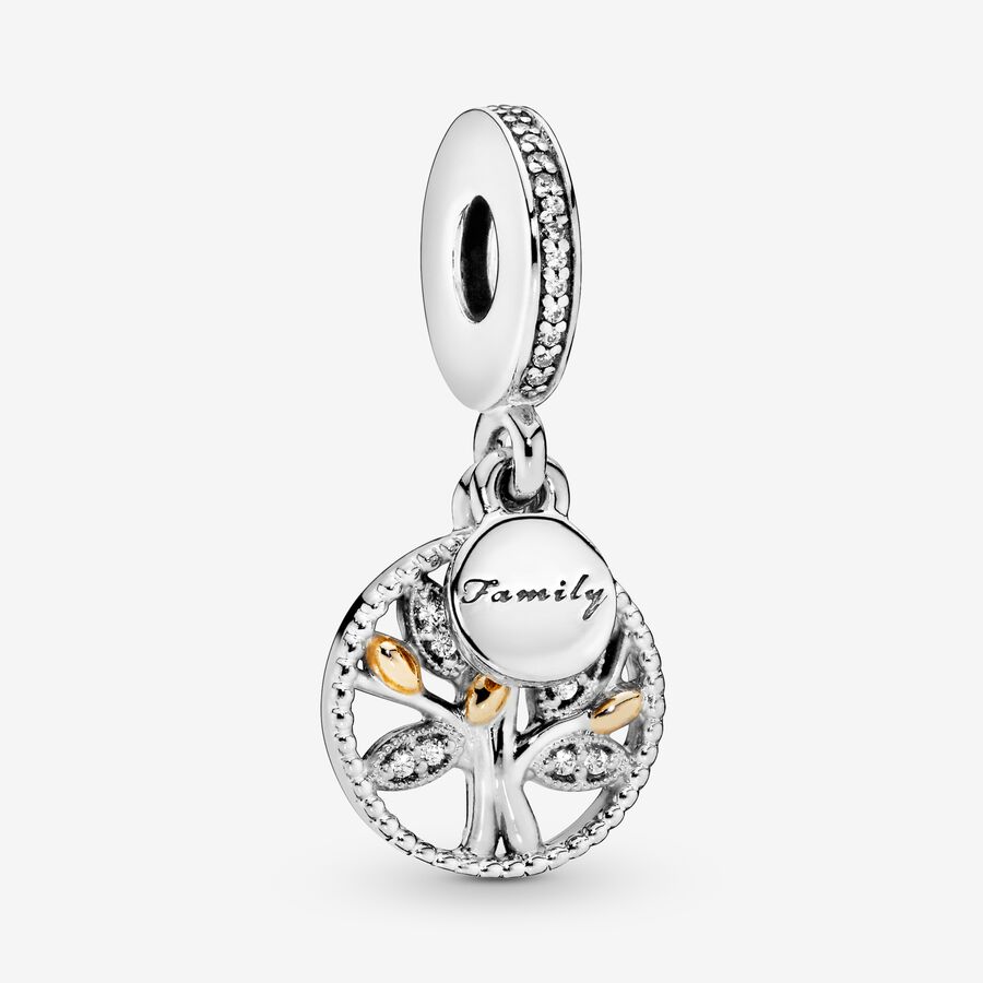 Pandora Family Means Everything Golden Keychain Berlocker Olika Färger | 715HVDLIE