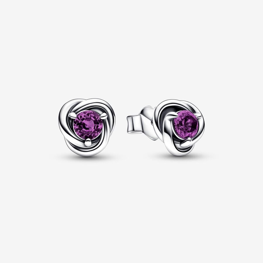 Pandora February Purple Eternity Circle Hingst Silver | 406RLIMES