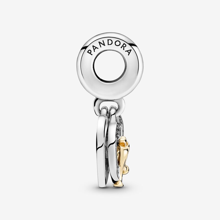 Pandora Happy Anniversary Dingla Two-tone | 906TUCRYF