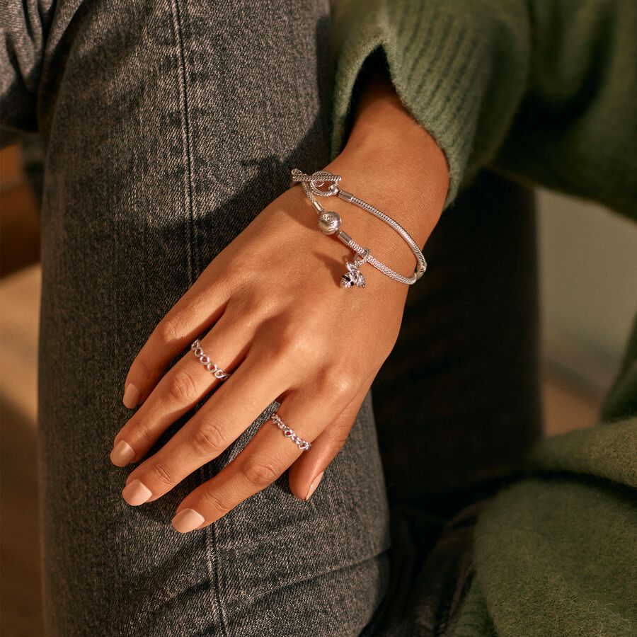 Pandora Mesh Berlocker Silver | 137KNLVPR