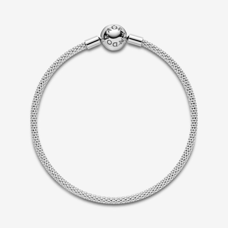 Pandora Mesh Berlocker Silver | 137KNLVPR