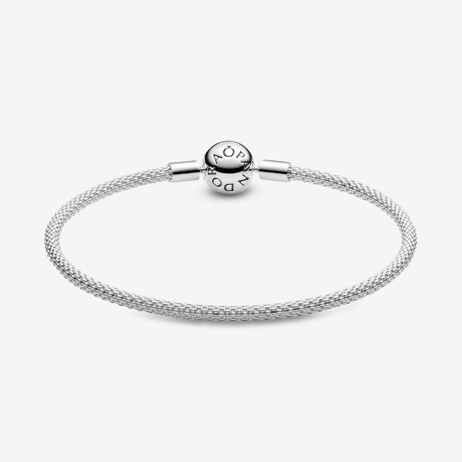 Pandora Mesh Berlocker Silver | 137KNLVPR