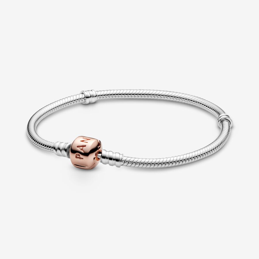 Pandora Moments Snake Berlocker Two-tone | 189WHPVDN