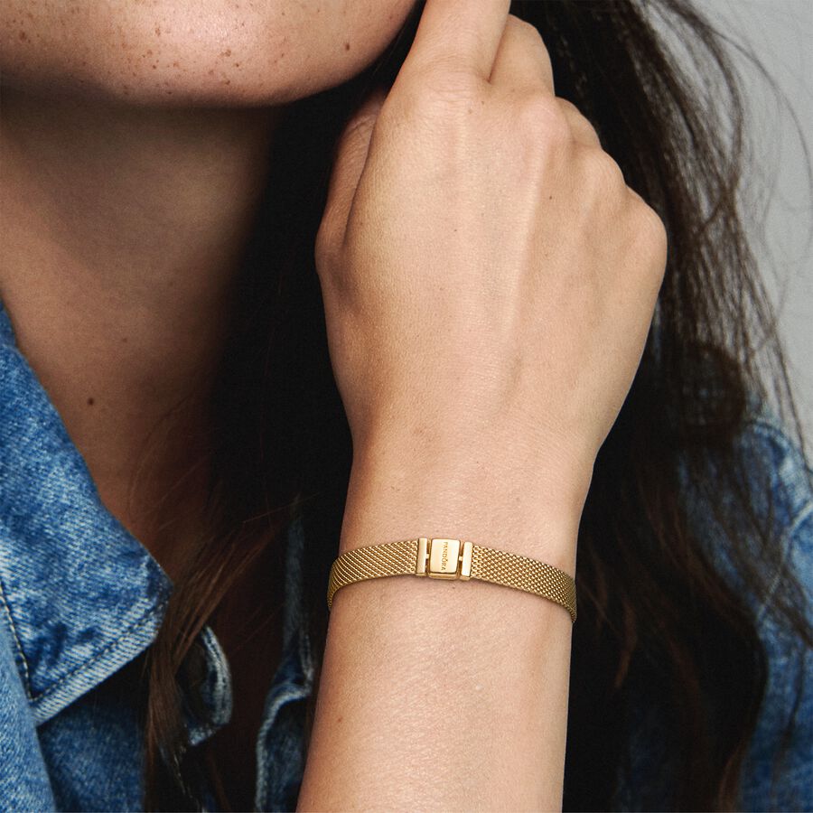 Pandora Reflexions Mesh Berlocker Guld | 279KCJEBP