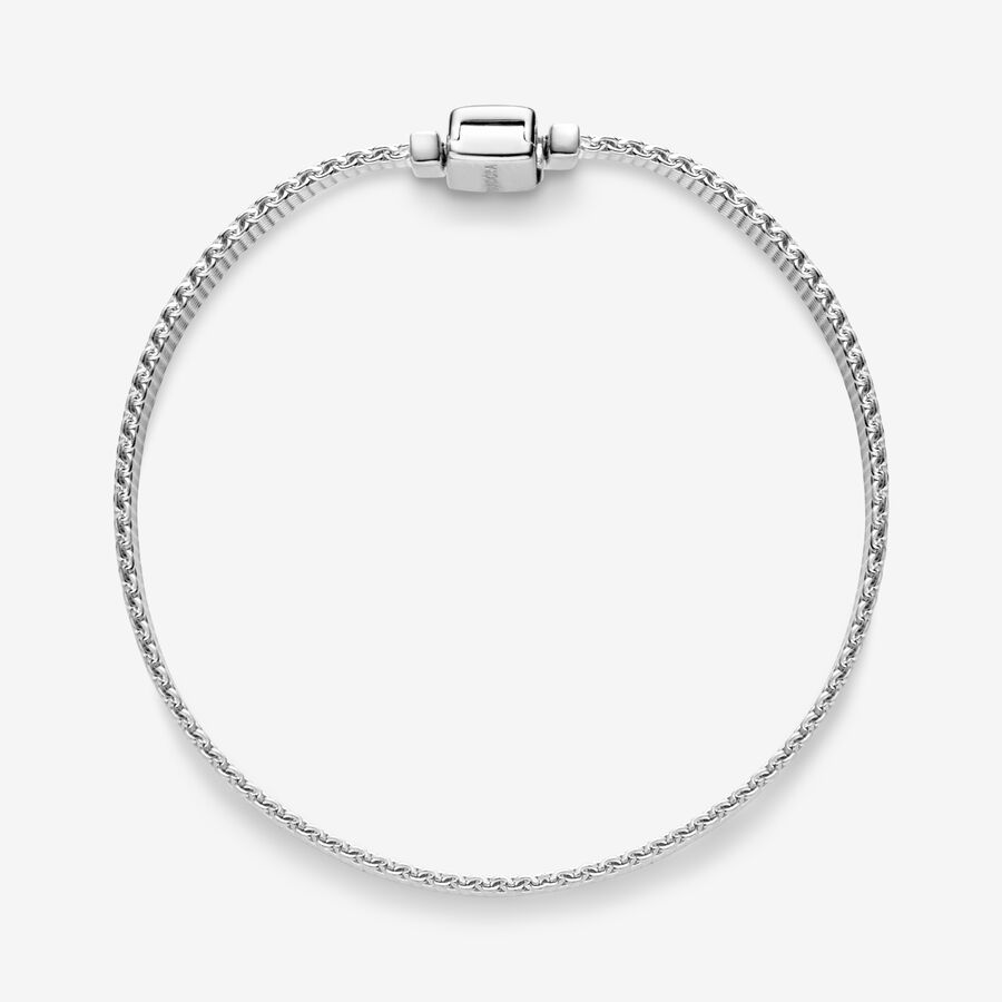 Pandora Reflexions Mesh Berlocker Silver | 209REULJX