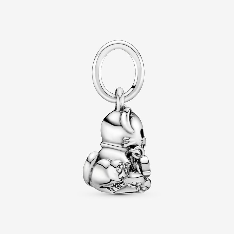 Pandora Sweet Cat Dingla Silver | 621COWIMZ