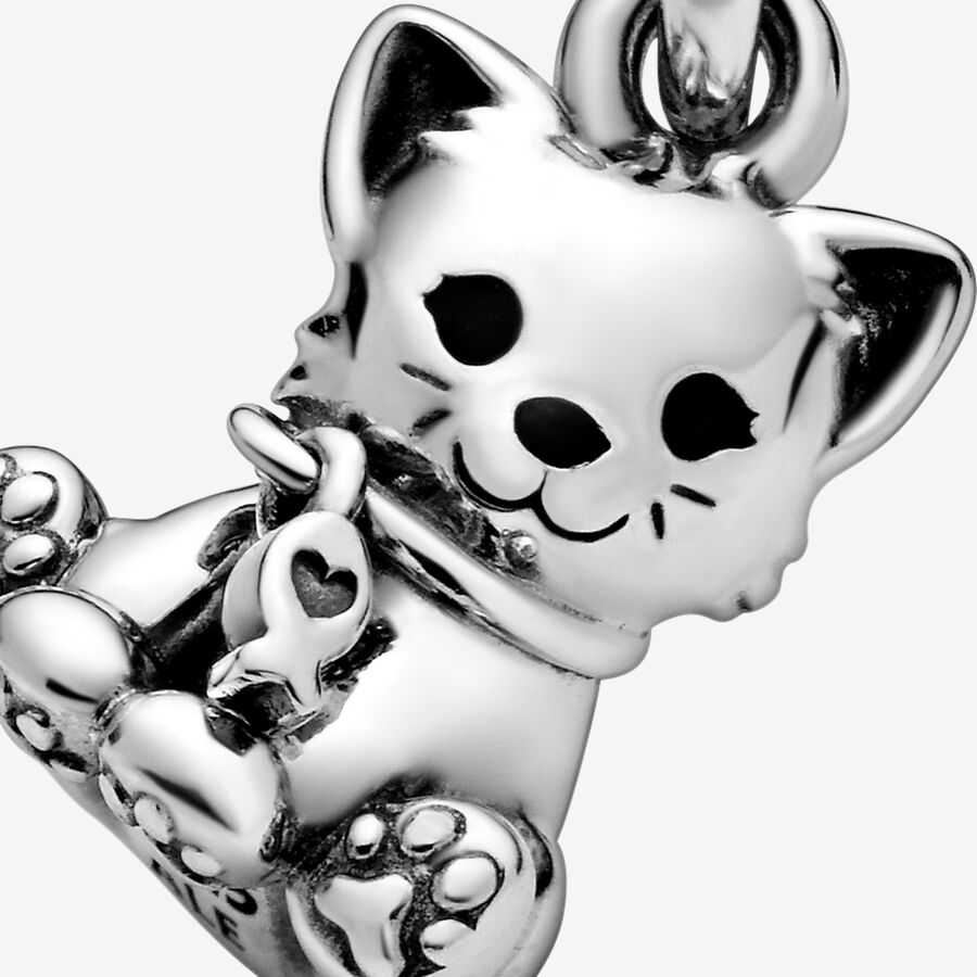 Pandora Sweet Cat Dingla Silver | 621COWIMZ