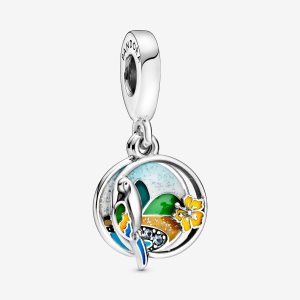 Pandora Brazil Beach & Parrot Dingla Silver | 826QRPAVL